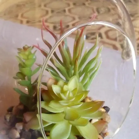 Traditional Townhouse Malta - Unique Location Tatil Evi